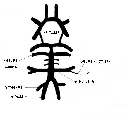 脳が原因のめまいもある ～確認すべき危険な兆候～ 第５回