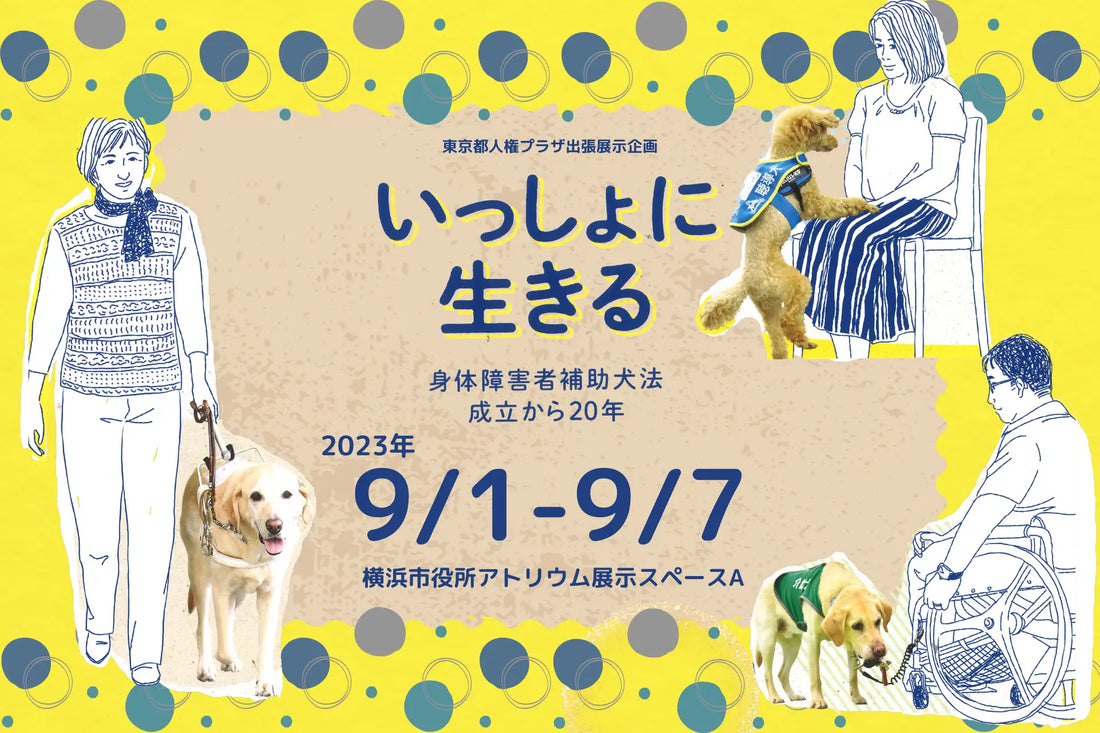 【9/1～9/7】補助犬企画展「いっしょに生きる～身体障害者補助犬法成立から20年～」 ～横浜市役所アトリウム展示スペースAにて、9/1～9/7の1週間の期間限定で展示～