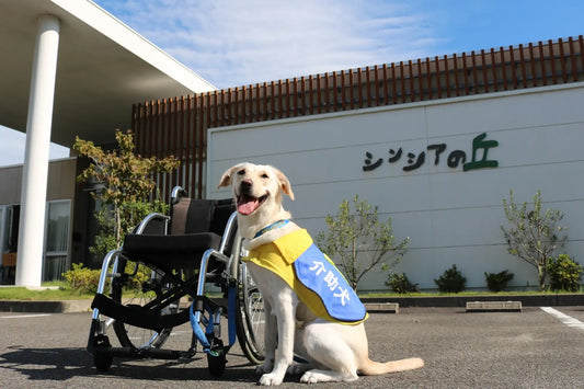 【10/28、29開催】日本身体障害者補助犬学会 第15回学術大会が開催！