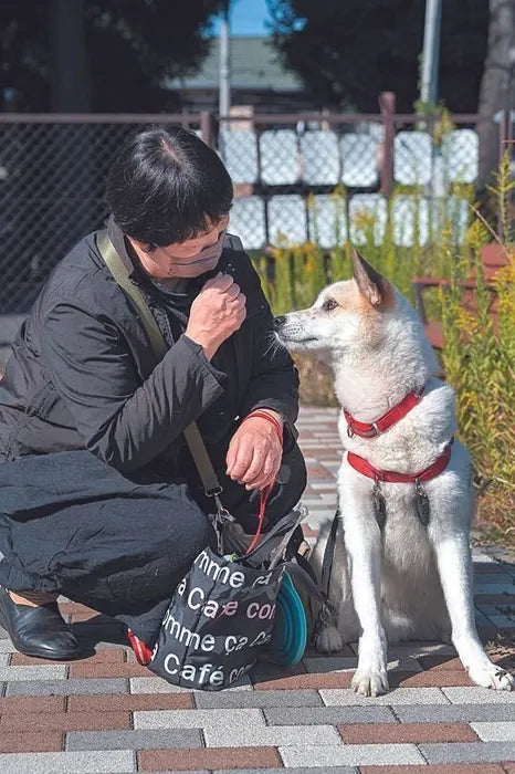 役目を終えた聴導犬、そして聴導犬に適さなかった犬たち　最後は家庭犬として幸せに