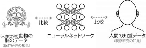 NTT、「人のように音を聞く」人工ニューラルネットワーク