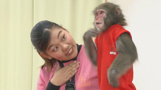 「心のバリアフリー」手話で猿まわし 聾学校で公演 子どもたちは大喜び　大分